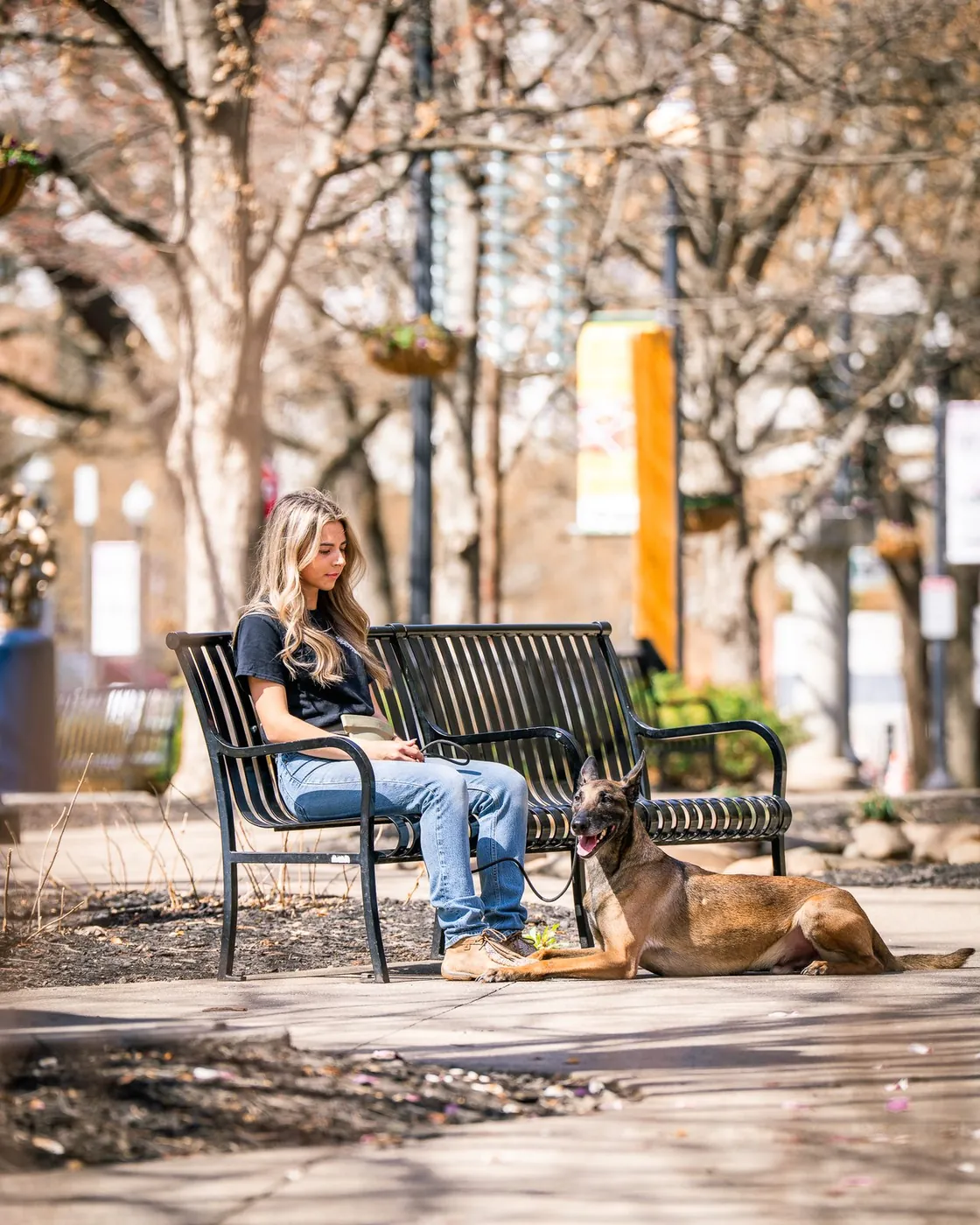 A woman sitting on a bench on a tree-lined plaza while a Belgian Malinois lies down calmly at her feet.
